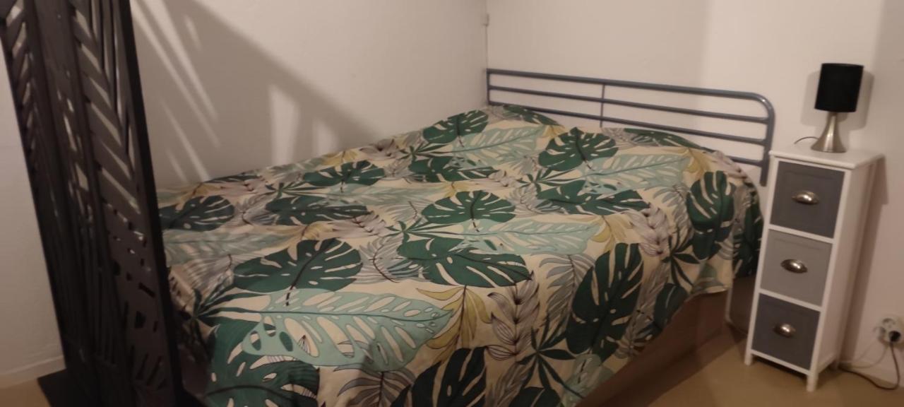 Pour Cure Et Ski Apartment Bagneres-de-Luchon Ngoại thất bức ảnh